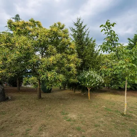 Aldeade * Santa María